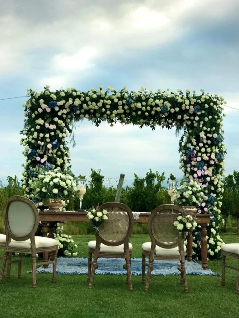 Boda en Mendoza, entre viñedos