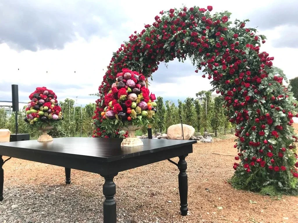 Boda en Mendoza, entre viñedos